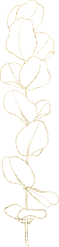 Eucalyptus Gold Line Art